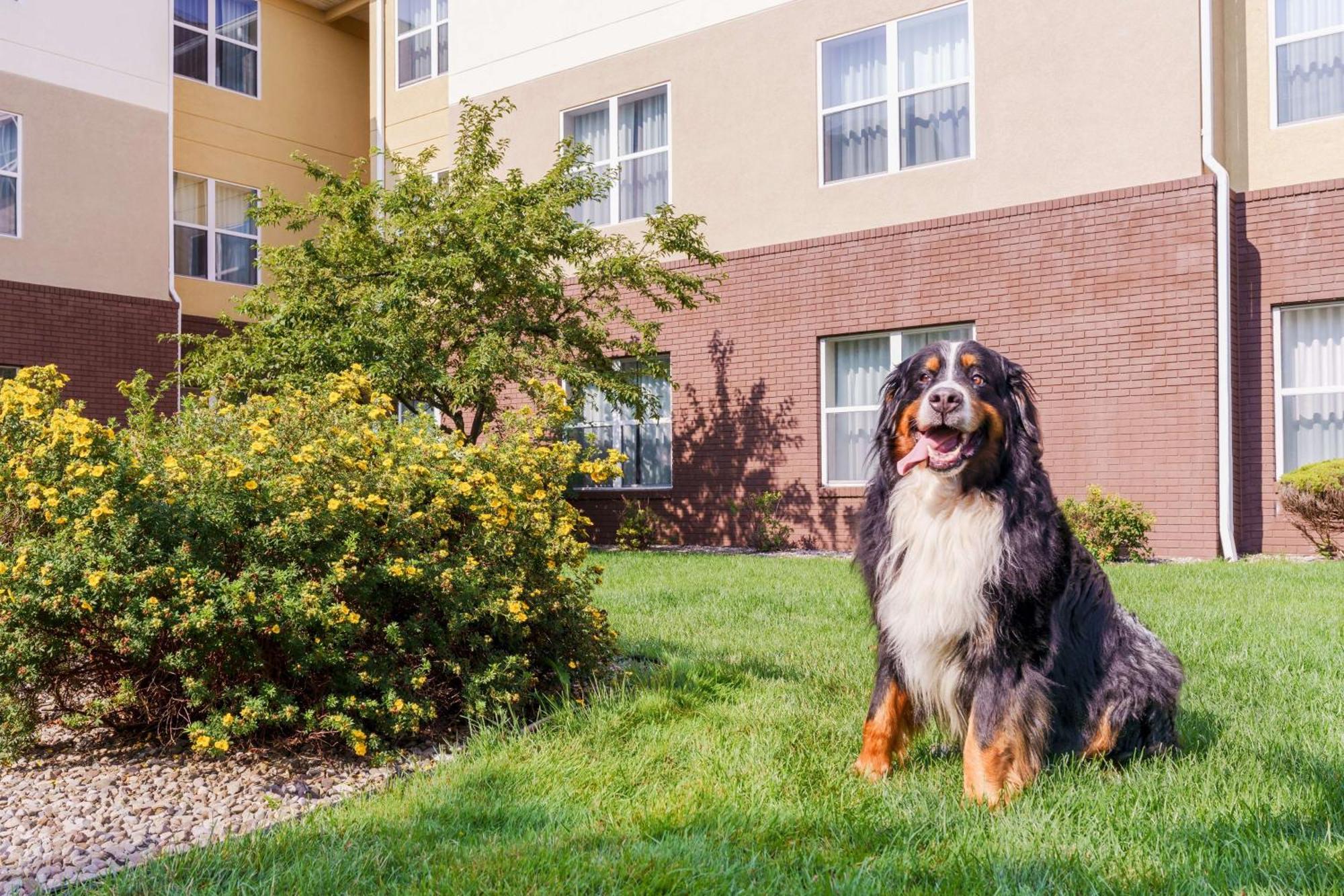 Homewood Suites Rochester-Henrietta Exterior photo